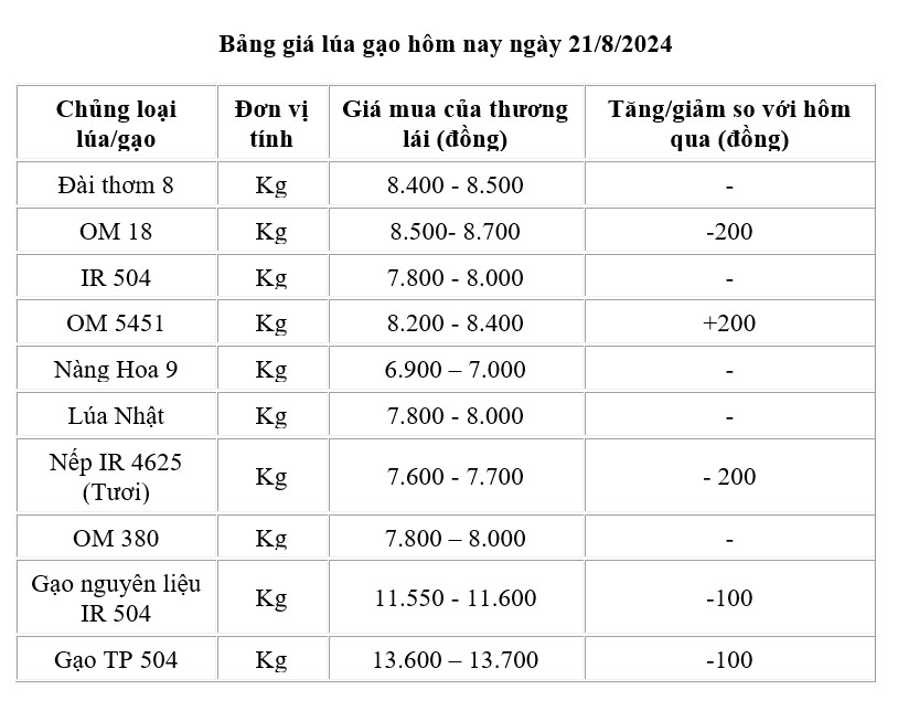 Giá lúa gạo hôm nay 21/8/2024: