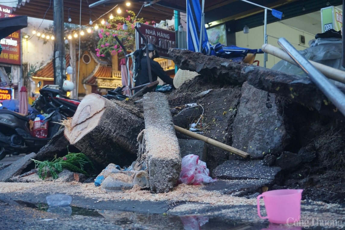 Gốc cây lim xẹt bật, ngã đè trúng người bán nước ở Đà Nẵng Gốc cây lim xẹt bật, ngã đè trúng người bán nước ở Đà Nẵng