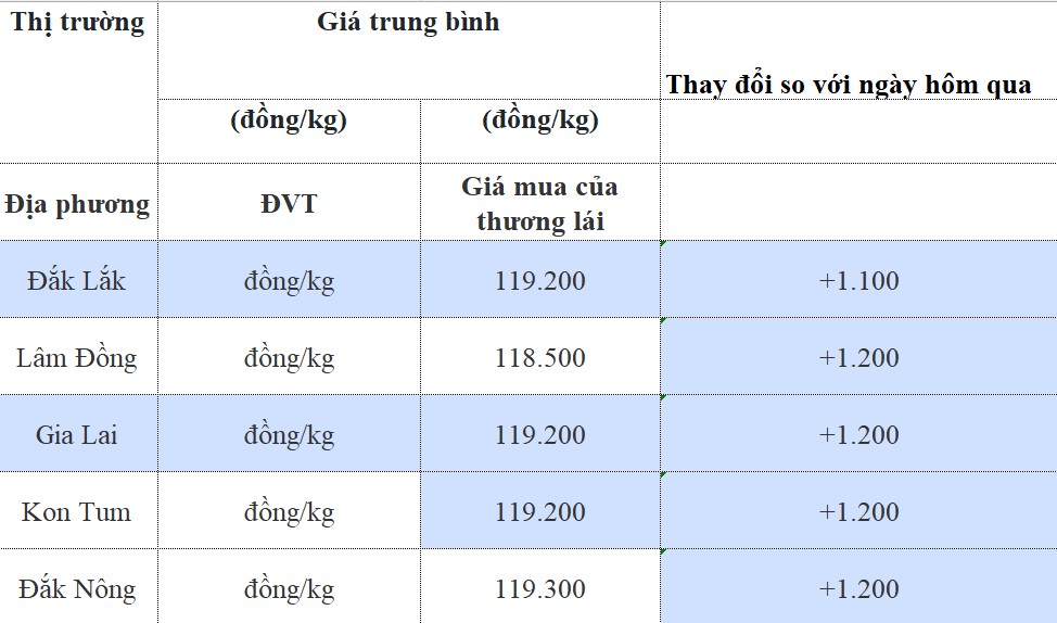 Giá cà phê hôm nay 22/8/2024: Giá cà phê hôm nay 22/8/2024: