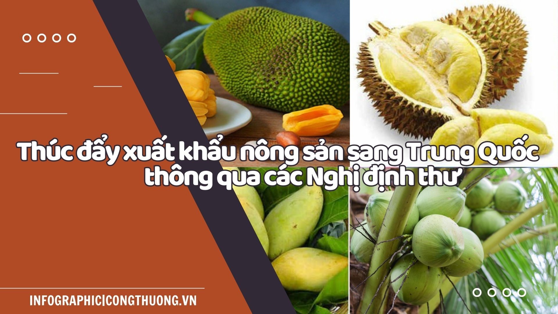 Infographic | Thúc đẩy xuất khẩu nông sản sang Trung Quốc thông qua các Nghị định thư Infographic | Thúc đẩy xuất khẩu nông sản sang Trung Quốc thông qua các Nghị định thư