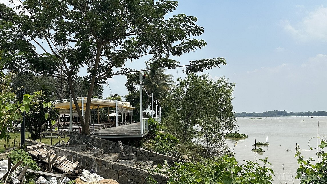 Hàng loạt khu cắm trại lấn sông tại TP. Thủ Đức bị thanh tra sai phạm giờ ra sao? Hàng loạt khu cắm trại lấn sông tại TP. Thủ Đức bị thanh tra sai phạm giờ ra sao?