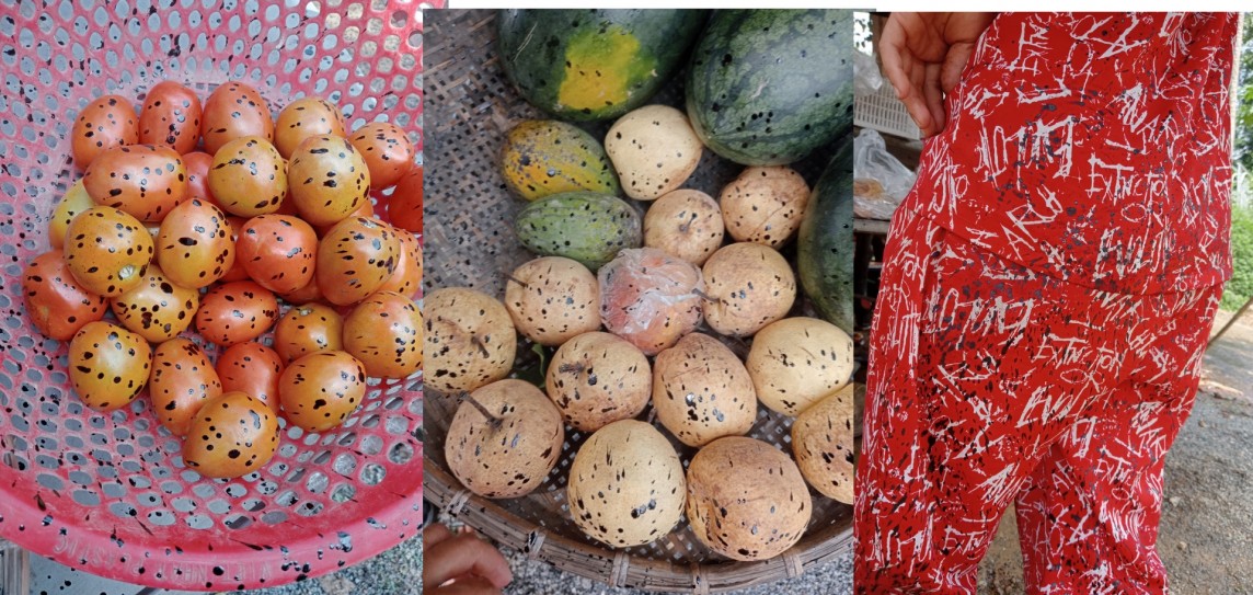 phun nhựa đường vào mặt phun nhựa đường vào mặt