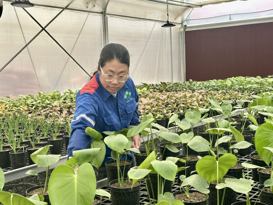 Sufe phốt phát Lâm Thao: Đồng hành với nhà nông, vì sức sống ruộng đồng Sufe phốt phát Lâm Thao: Đồng hành với nhà nông, vì sức sống ruộng đồng