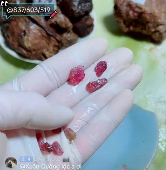 Tiêu chuẩn Cộng đồng TikTok “buông lỏng” để hoạt động