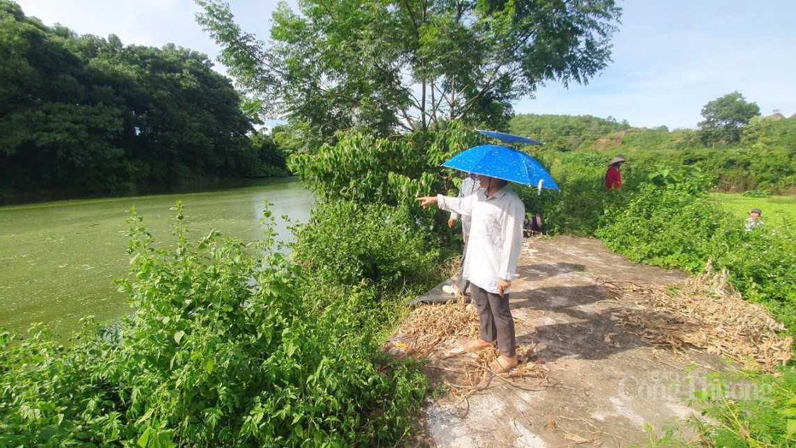 Hòa Bình: Dân bức xúc tố trại chăn nuôi lợn, ngan gây ô nhiễm Hòa Bình: Dân bức xúc tố trại chăn nuôi lợn, ngan gây ô nhiễm