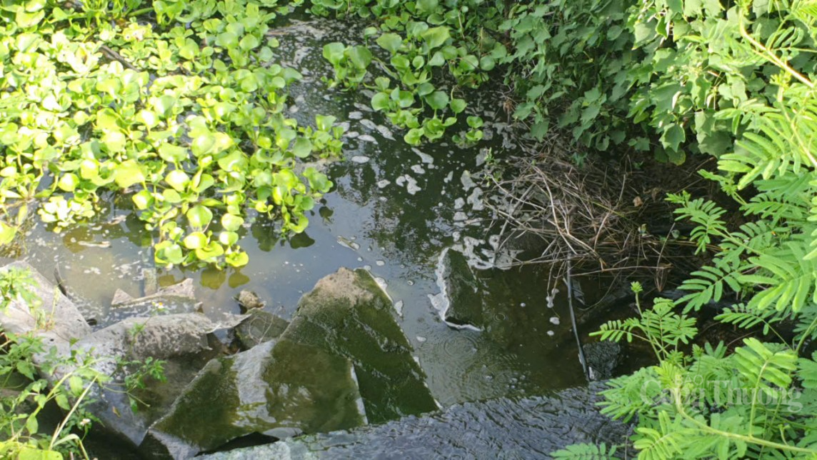 Hòa Bình: Dân bức xúc tố trại chăn nuôi lợn, ngan gây ô nhiễm Hòa Bình: Dân bức xúc tố trại chăn nuôi lợn, ngan gây ô nhiễm