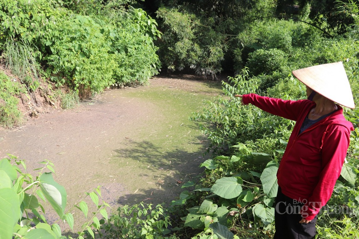 Hòa Bình: Dân bức xúc tố trại chăn nuôi lợn, ngan gây ô nhiễm Hòa Bình: Dân bức xúc tố trại chăn nuôi lợn, ngan gây ô nhiễm