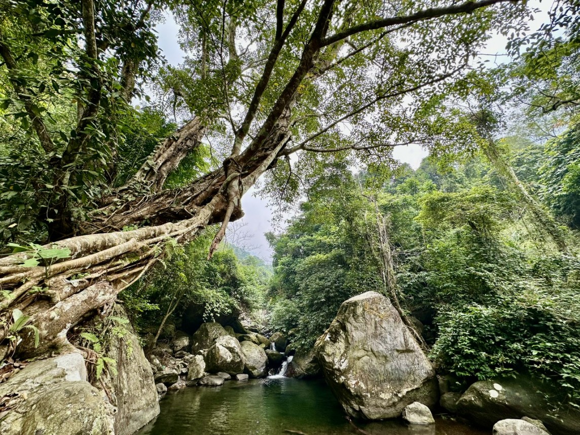 Du lịch Vĩnh Phúc ‘hút’ khách nhưng tại sao chưa ‘hút’ tiền? Du lịch Vĩnh Phúc ‘hút’ khách nhưng tại sao chưa ‘hút’ tiền?