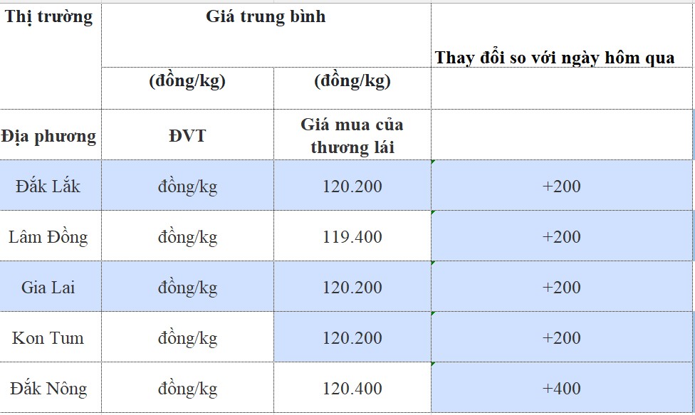 Giá cà phê hôm nay 28/8/2024: