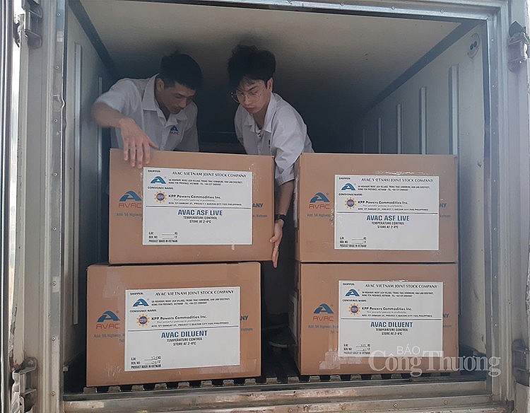 Vắc xin dịch tả lợn châu phi của AVAC được đưa ra xe ô tô, vận chuyển đến sân bay để xuất ngoại vào ngày 29/8 Vắc xin dịch tả lợn châu phi của AVAC được đưa ra xe ô tô, vận chuyển đến sân bay để xuất ngoại vào ngày 29/8