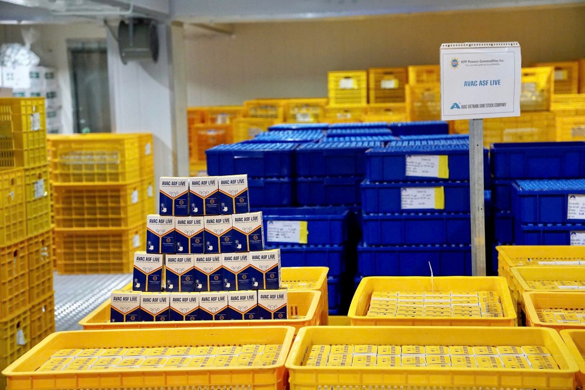 150.000 liều vắc xin dịch tả lợn châu Phi của AVAC sẽ được xuất khẩu sang Philippines 150.000 liều vắc xin dịch tả lợn châu Phi của AVAC sẽ được xuất khẩu sang Philippines