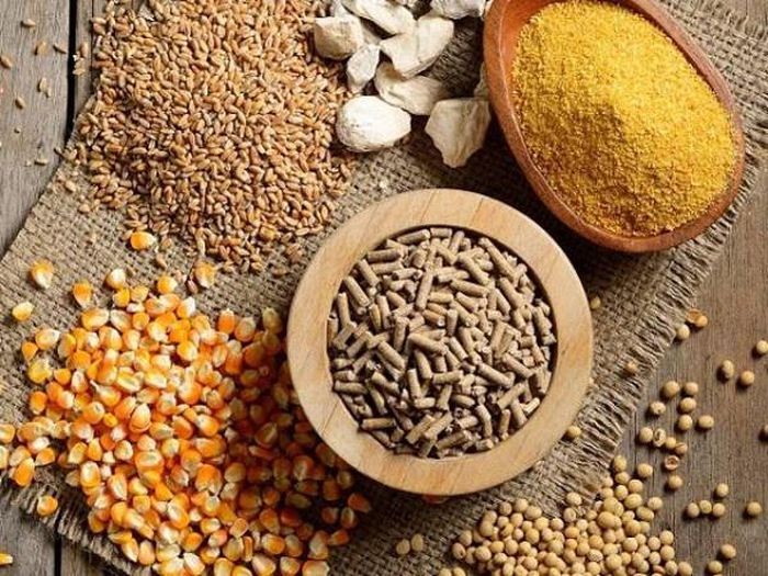 Xuất khẩu thức ăn gia súc và nguyên liệu của Việt Nam giảm Xuất khẩu thức ăn gia súc và nguyên liệu của Việt Nam giảm