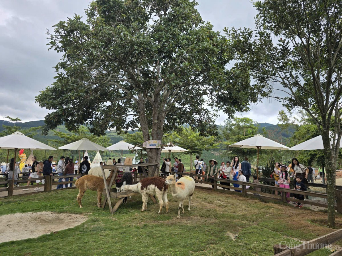 Đà Lạt đón khoảng 100.000 lượt khách dịp lễ 2/9