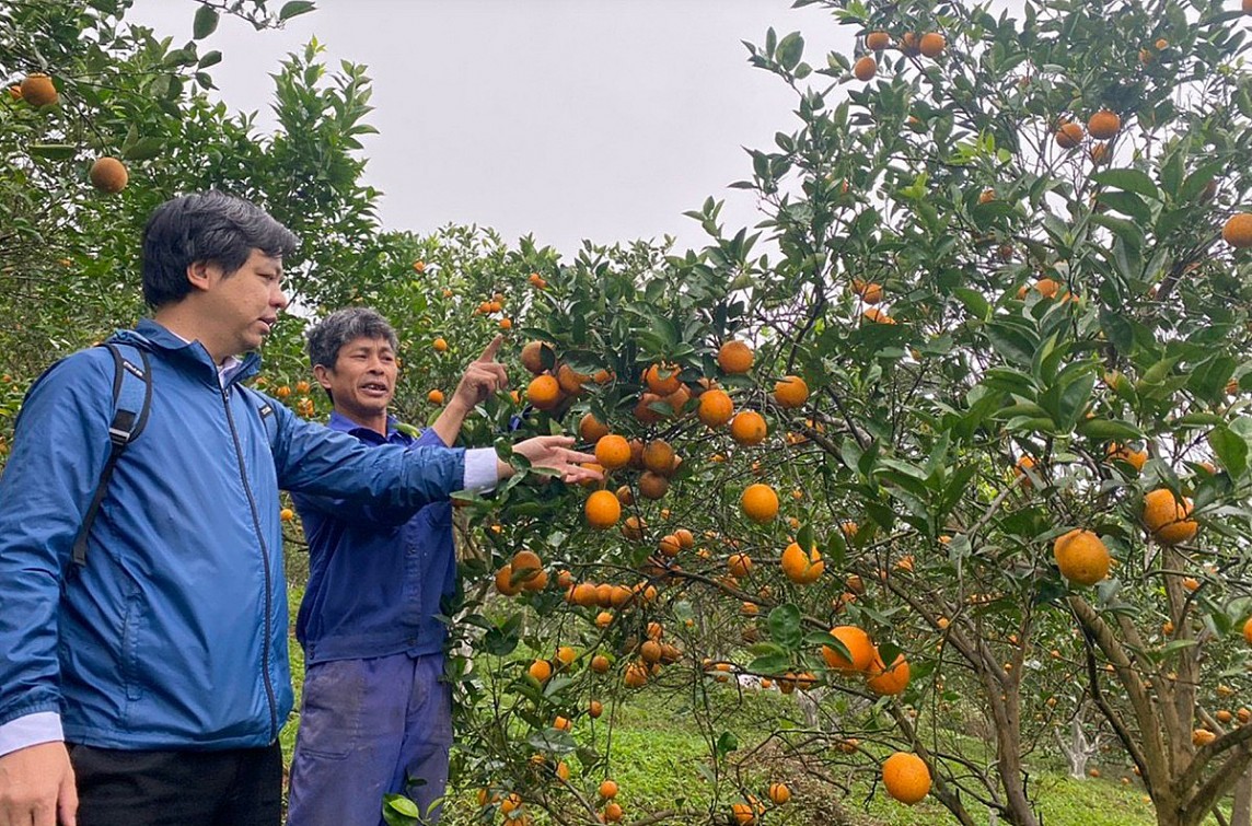 Với mô hình sản xuất cam theo hướng hữu cơ, sản phẩm cam Quà tặng cao cấp 3T Farm đã đạt tiêu chuẩn 4 sao (Ảnh: Báo Hòa Bình) Với mô hình sản xuất cam theo hướng hữu cơ, sản phẩm cam Quà tặng cao cấp 3T Farm đã đạt tiêu chuẩn 4 sao (Ảnh: Báo Hòa Bình)