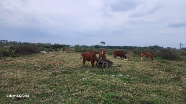 Nhịp cầu Công Thương 4/9: Lo ngại chất lượng dự án hơn 4.800 tỷ; Nhịp cầu Công Thương 4/9: Lo ngại chất lượng dự án hơn 4.800 tỷ;