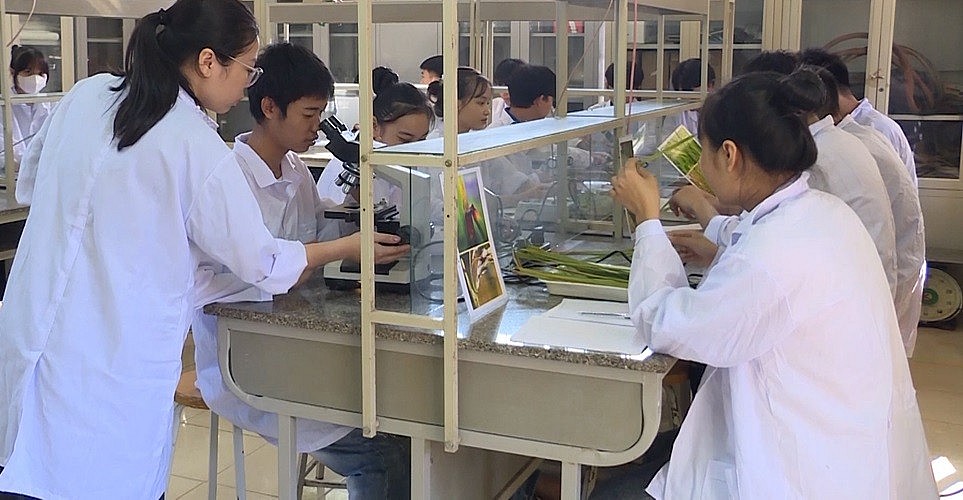 Kế hoạch thu hút, trọng dụng nhân tài đến năm 2030 của tỉnh Thanh Hóa như thế nào? Kế hoạch thu hút, trọng dụng nhân tài đến năm 2030 của tỉnh Thanh Hóa như thế nào?