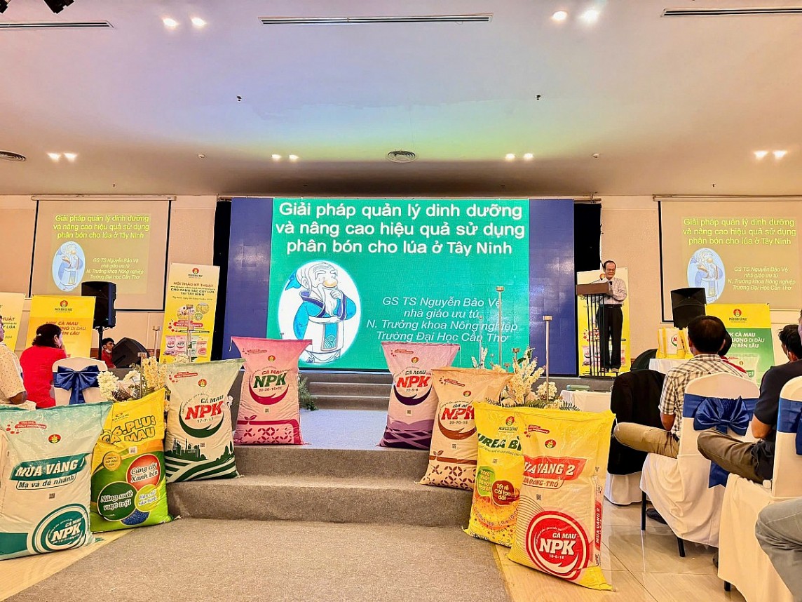 GS.TS Nguyễn Bảo Vệ chia sẻ về giải pháp dinh dưỡng cho cây lúa tại hội thảo GS.TS Nguyễn Bảo Vệ chia sẻ về giải pháp dinh dưỡng cho cây lúa tại hội thảo
