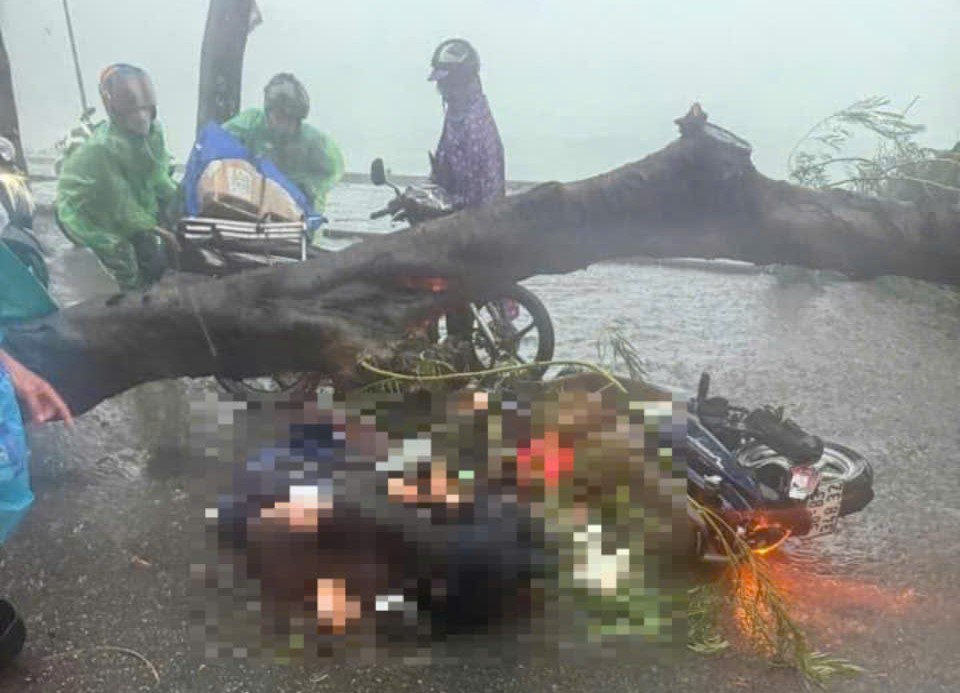 Hà Nội: Cây xanh trồng không gốc, lộ bất thường và những nguy hiểm rình rập Hà Nội: Cây xanh trồng không gốc, lộ bất thường và những nguy hiểm rình rập