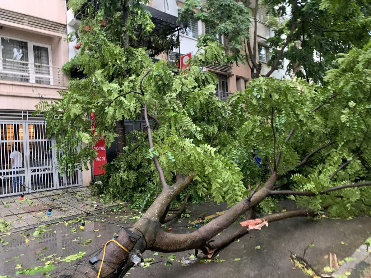Mưa giông lớn tại Hà Nội: Mới là màn "dạo đầu" của cơn bão số 3 Mưa giông lớn tại Hà Nội: Mới là màn "dạo đầu" của cơn bão số 3