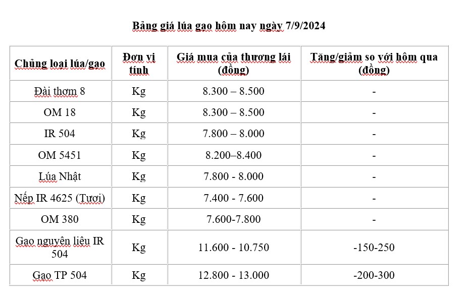 Giá lúa gạo hôm nay 7/9/2024: Giá lúa gạo hôm nay 7/9/2024: