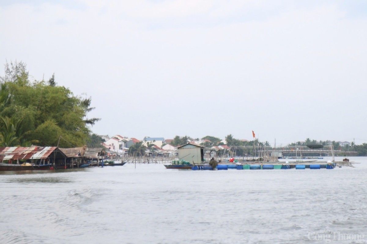 Tỉnh Quảng Nam quyết tâm phải hoàn thành dự án nạo vét sông Cổ Cò Tỉnh Quảng Nam quyết tâm phải hoàn thành dự án nạo vét sông Cổ Cò