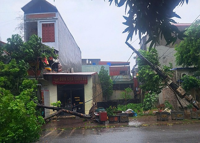 Hình ảnh lưới điện bị tàn phá bởi siêu bão Yagi Hình ảnh lưới điện bị tàn phá bởi siêu bão Yagi