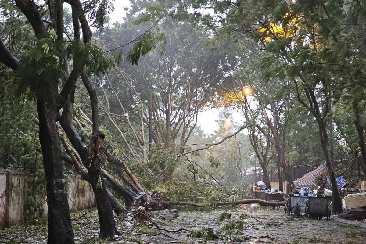 Hà Nội: Gần 3 nghìn cây xanh đổ, có phố cây đổ như ngả rạ Hà Nội: Gần 3 nghìn cây xanh đổ, có phố cây đổ như ngả rạ
