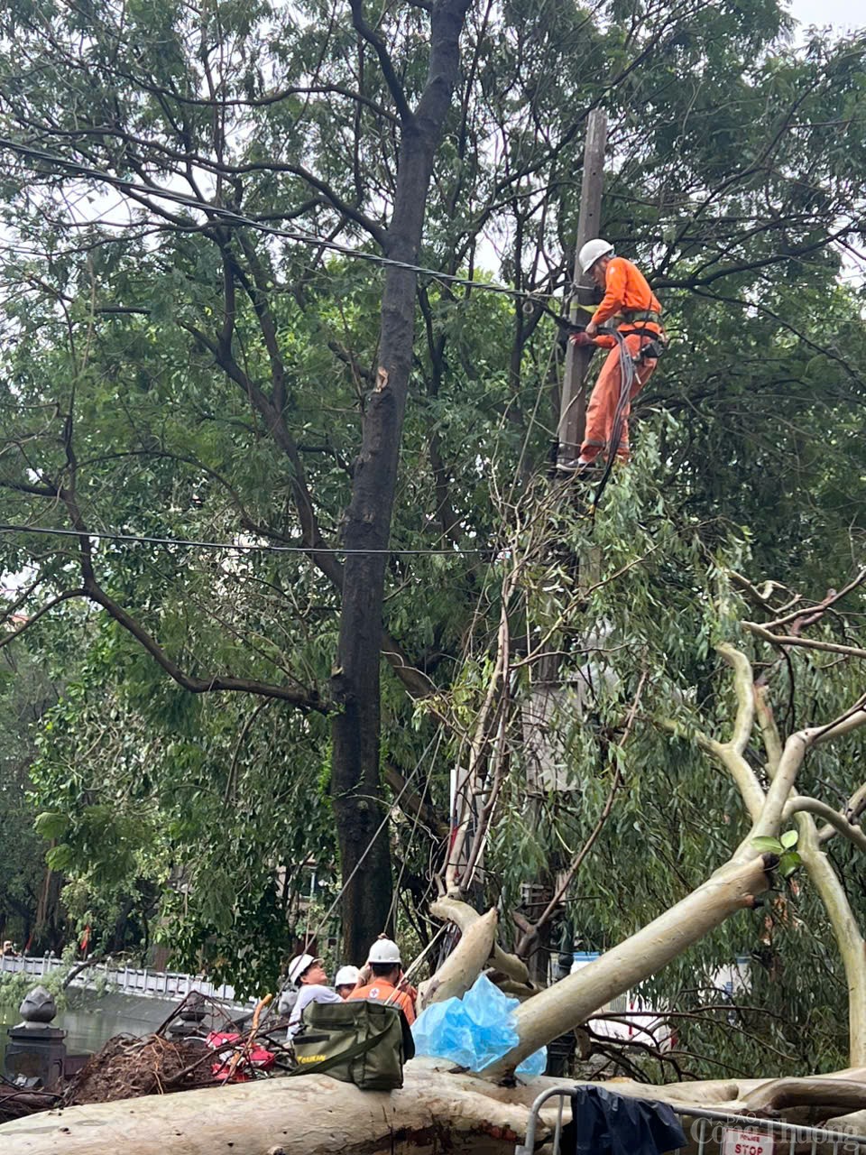 Cập nhật tình hình khắc phục sự cố sau bão số 3 của ngành điện Hà Nội