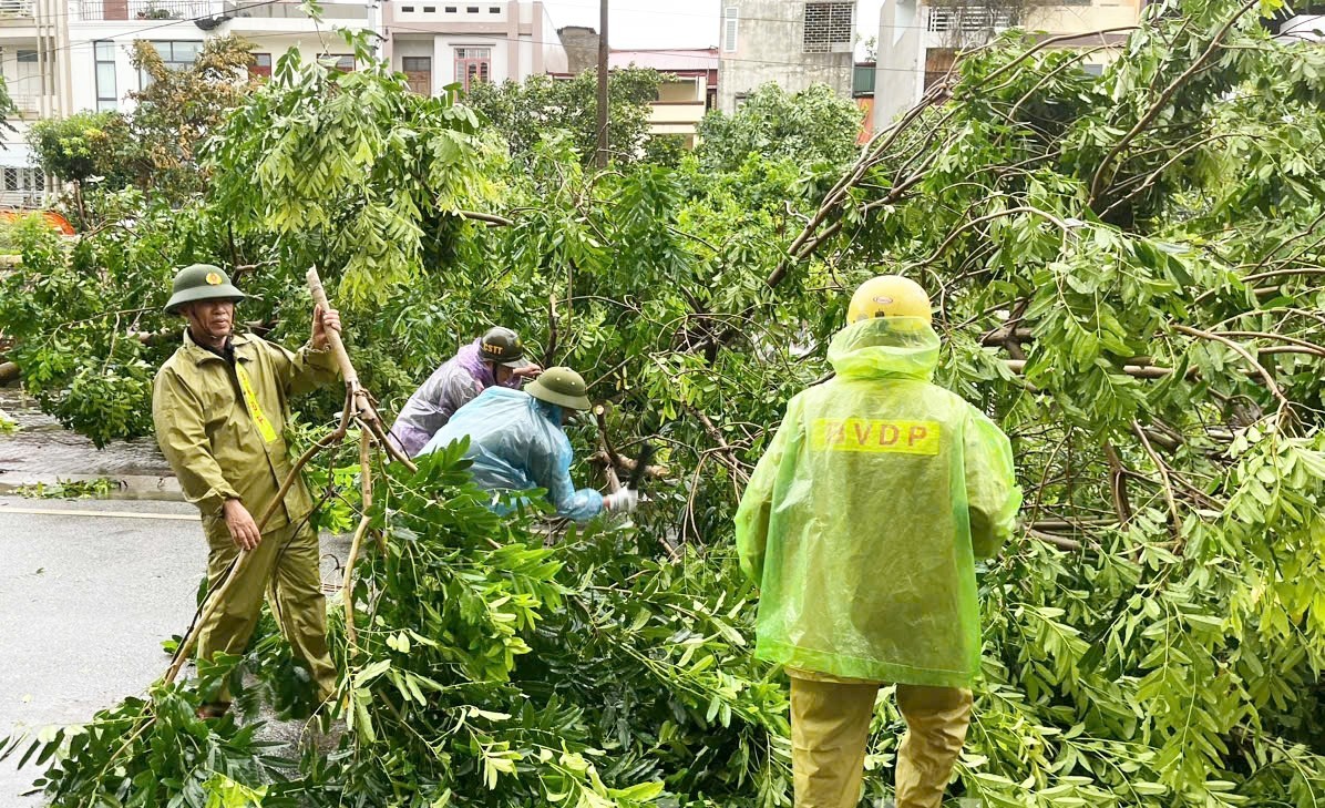 Lực lượng bảo vệ an ninh trật tự ở cơ sở tham gia cắt tỉa, xử lý cây xanh bị bão quật đổ. Lực lượng bảo vệ an ninh trật tự ở cơ sở tham gia cắt tỉa, xử lý cây xanh bị bão quật đổ.