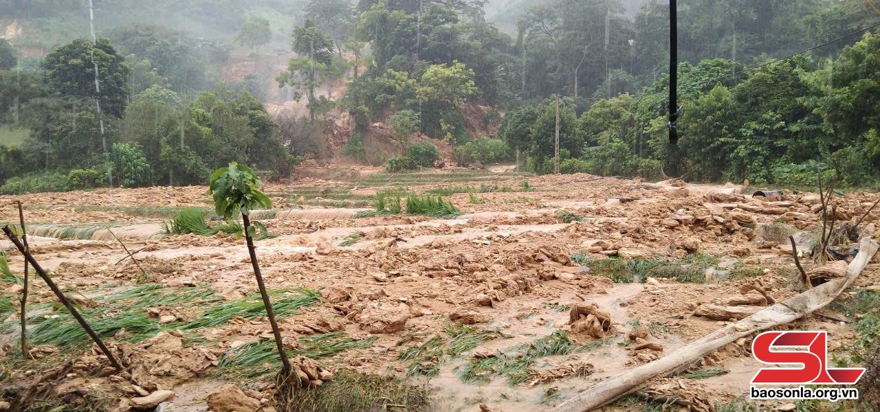 Ảnh hưởng bão số 3 ở Sơn La Ảnh hưởng bão số 3 ở Sơn La