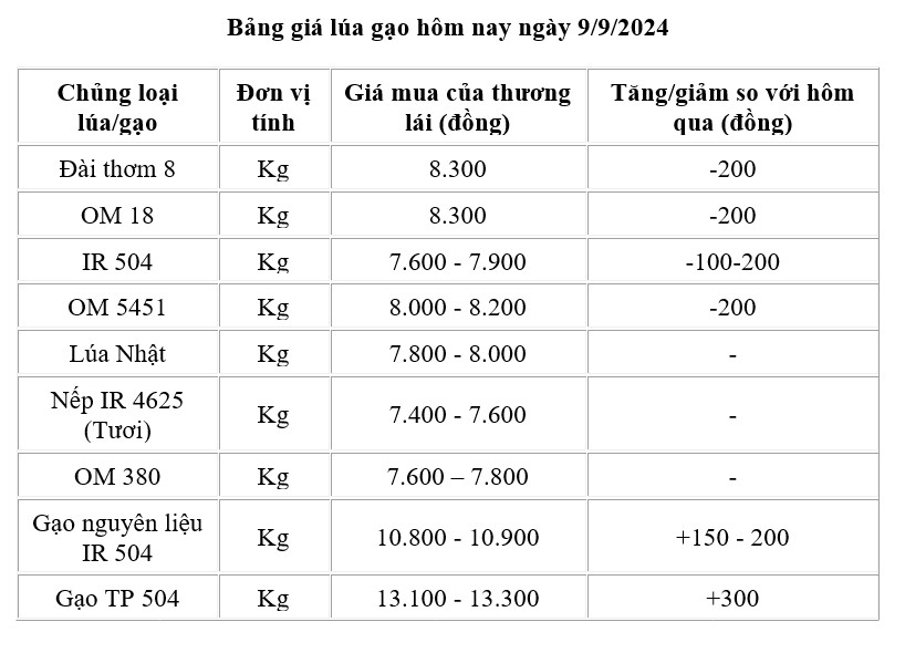 Giá lúa gạo hôm nay 9/9/2024: Giá lúa giảm 100 - 200 đồng/kg;
