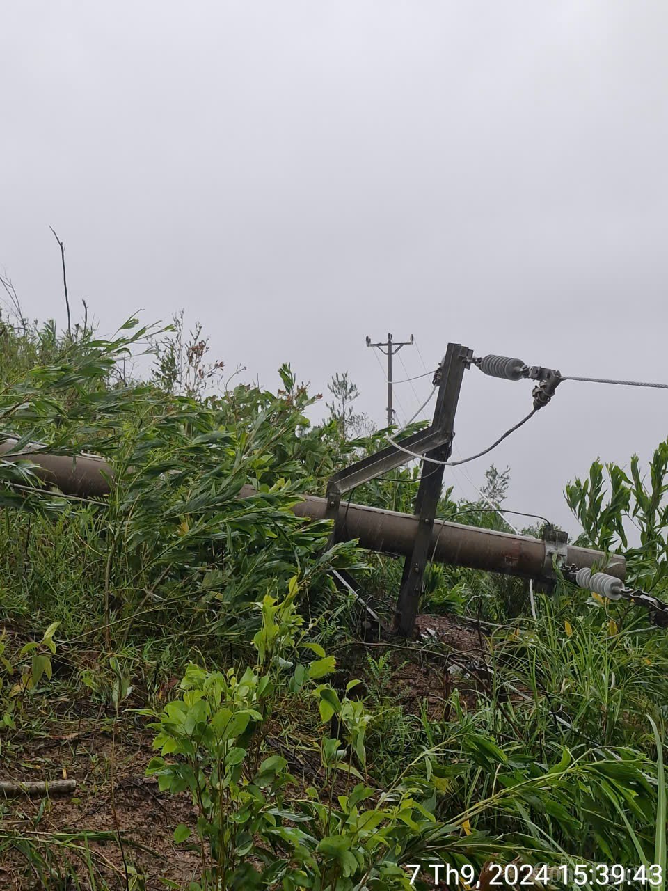 Điện lực 4 tỉnh tăng cường nhân lực cho Quảng Ninh khắc phục sự cố lưới điện Điện lực 4 tỉnh tăng cường nhân lực cho Quảng Ninh khắc phục sự cố lưới điện