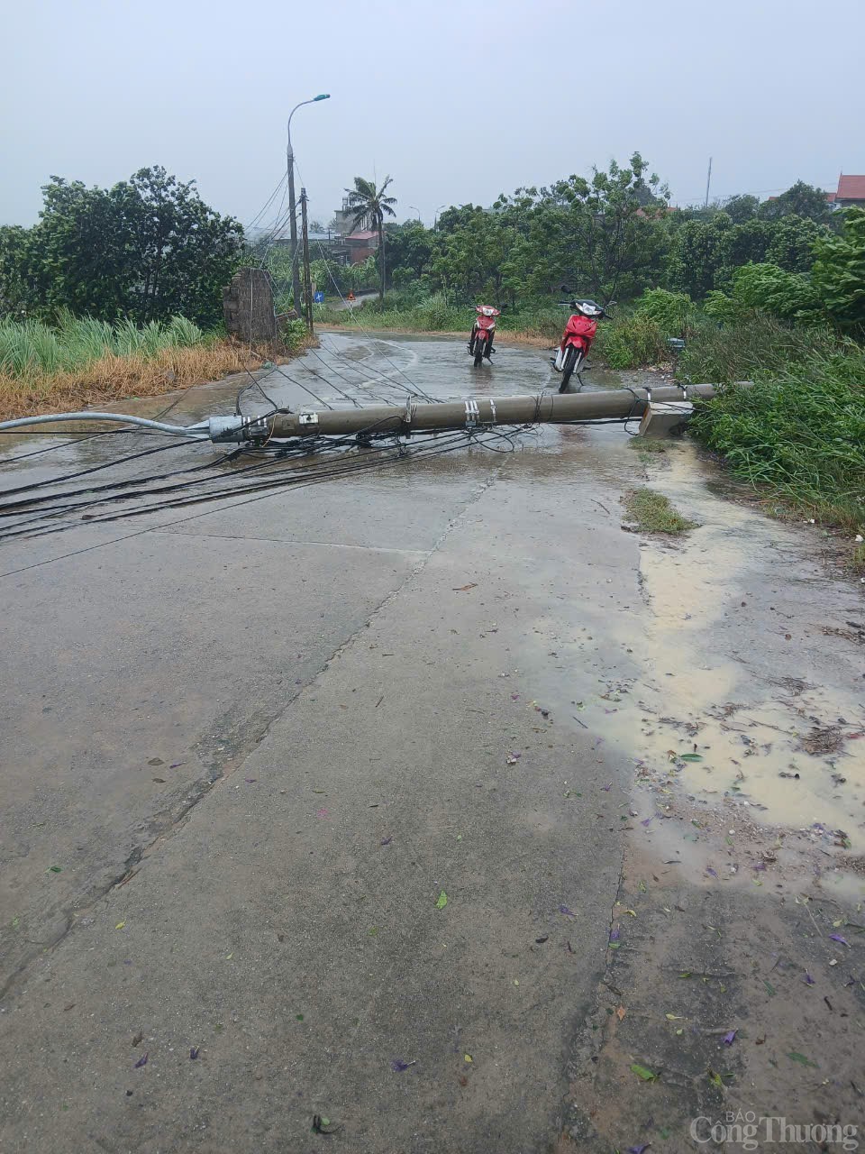 Điện lực 4 tỉnh tăng cường nhân lực cho Quảng Ninh khắc phục sự cố lưới điện Điện lực 4 tỉnh tăng cường nhân lực cho Quảng Ninh khắc phục sự cố lưới điện