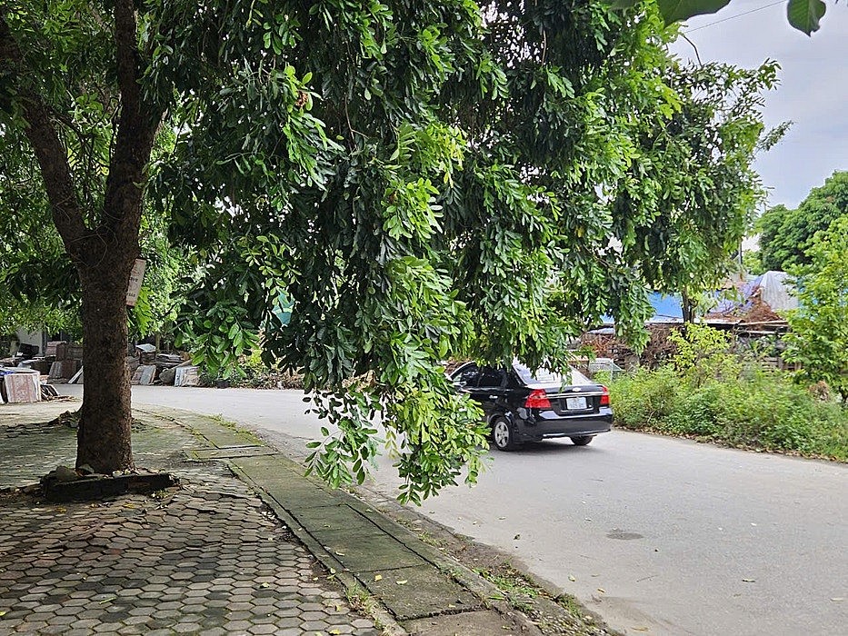Người dân nói gì sau hàng trăm cây xanh ở thành phố Thanh Hóa đổ gãy? Người dân nói gì sau hàng trăm cây xanh ở thành phố Thanh Hóa đổ gãy?