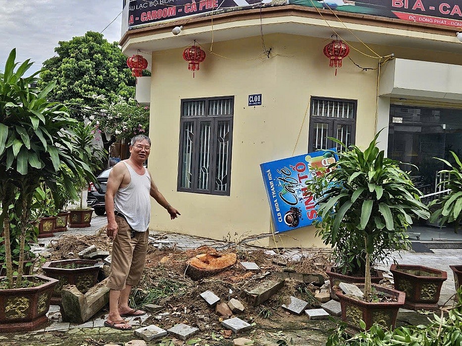 Người dân nói gì sau hàng trăm cây xanh ở thành phố Thanh Hóa đổ gãy? Người dân nói gì sau hàng trăm cây xanh ở thành phố Thanh Hóa đổ gãy?