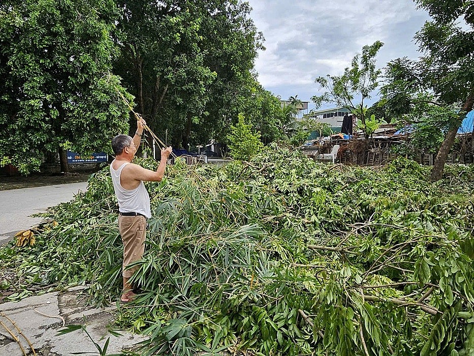 Người dân nói gì sau hàng trăm cây xanh ở thành phố Thanh Hóa đổ gãy? Người dân nói gì sau hàng trăm cây xanh ở thành phố Thanh Hóa đổ gãy?