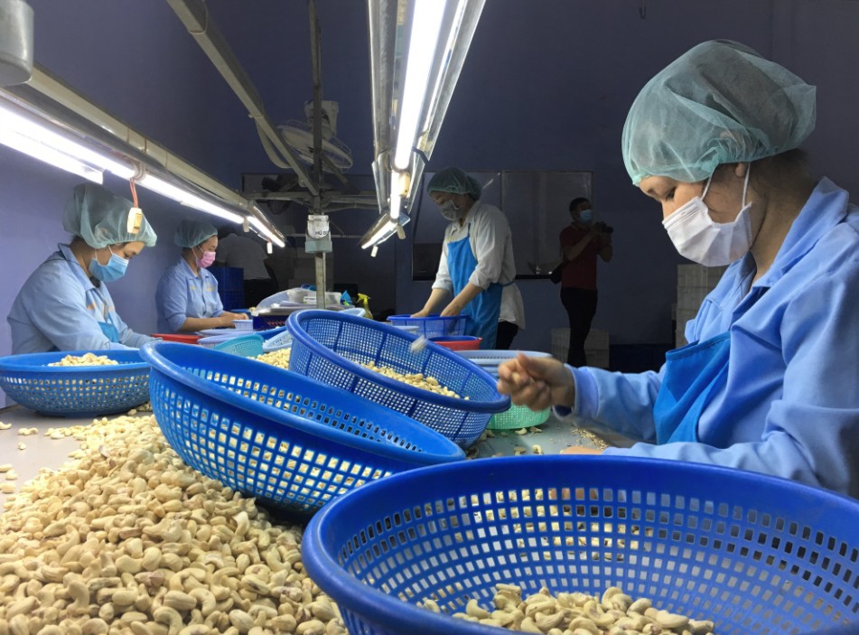Xuất khẩu nông sản 8 tháng thu về hơn 17 tỷ USD Xuất khẩu nông sản 8 tháng thu về hơn 17 tỷ USD