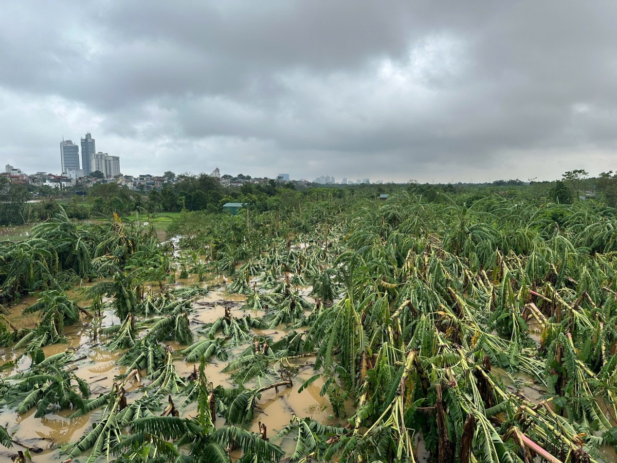 Cập nhật hình ảnh trực tiếp tình hình mưa lũ tại Hà Nội