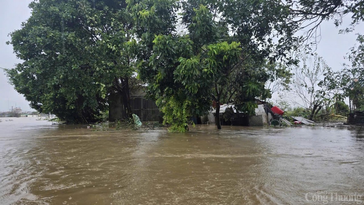 Sông Thái Bình Sông Thái Bình