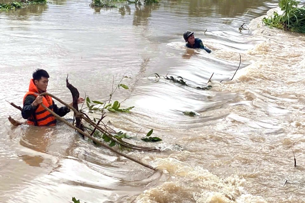 Những người lính thời bình Những người lính thời bình