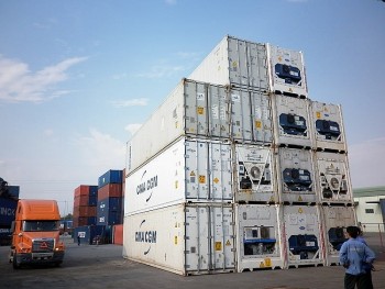 TP. Hồ Chí Minh: Doanh nghiệp xin được tiêu huỷ container đông lạnh 'kẹt' tại cảng