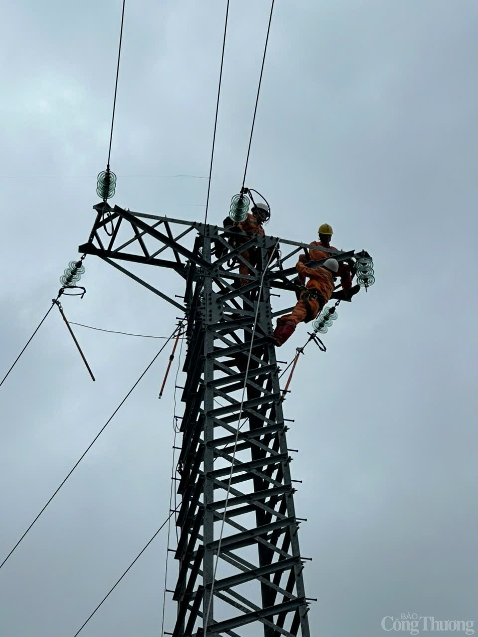 Thấy gì qua Quyết định tạm đình chỉ chức vụ Giám đốc Điện lực Hạ Long?