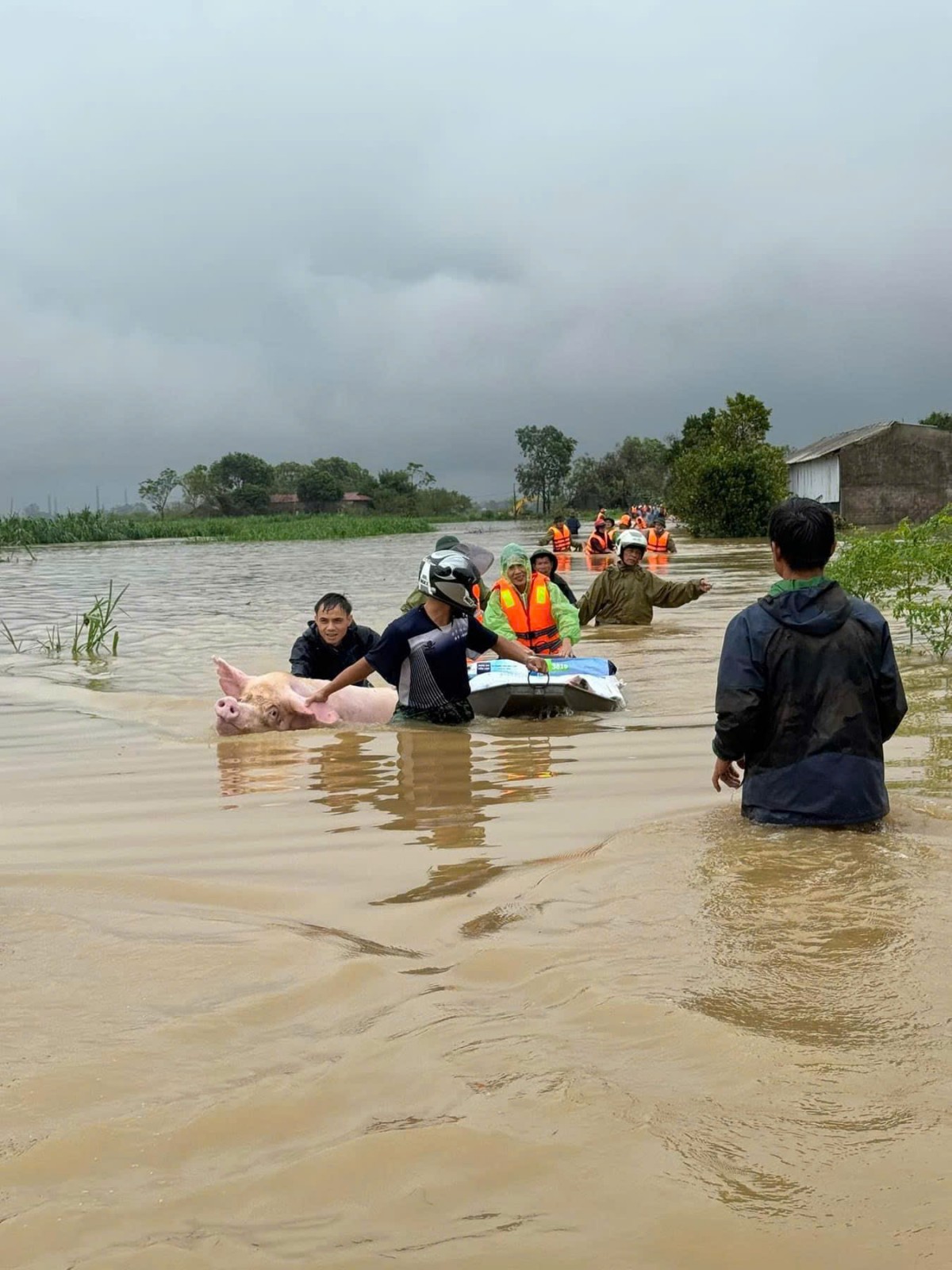Cập nhật tình hình mưa lũ tại các tỉnh thành hôm nay Cập nhật tình hình mưa lũ tại các tỉnh thành hôm nay