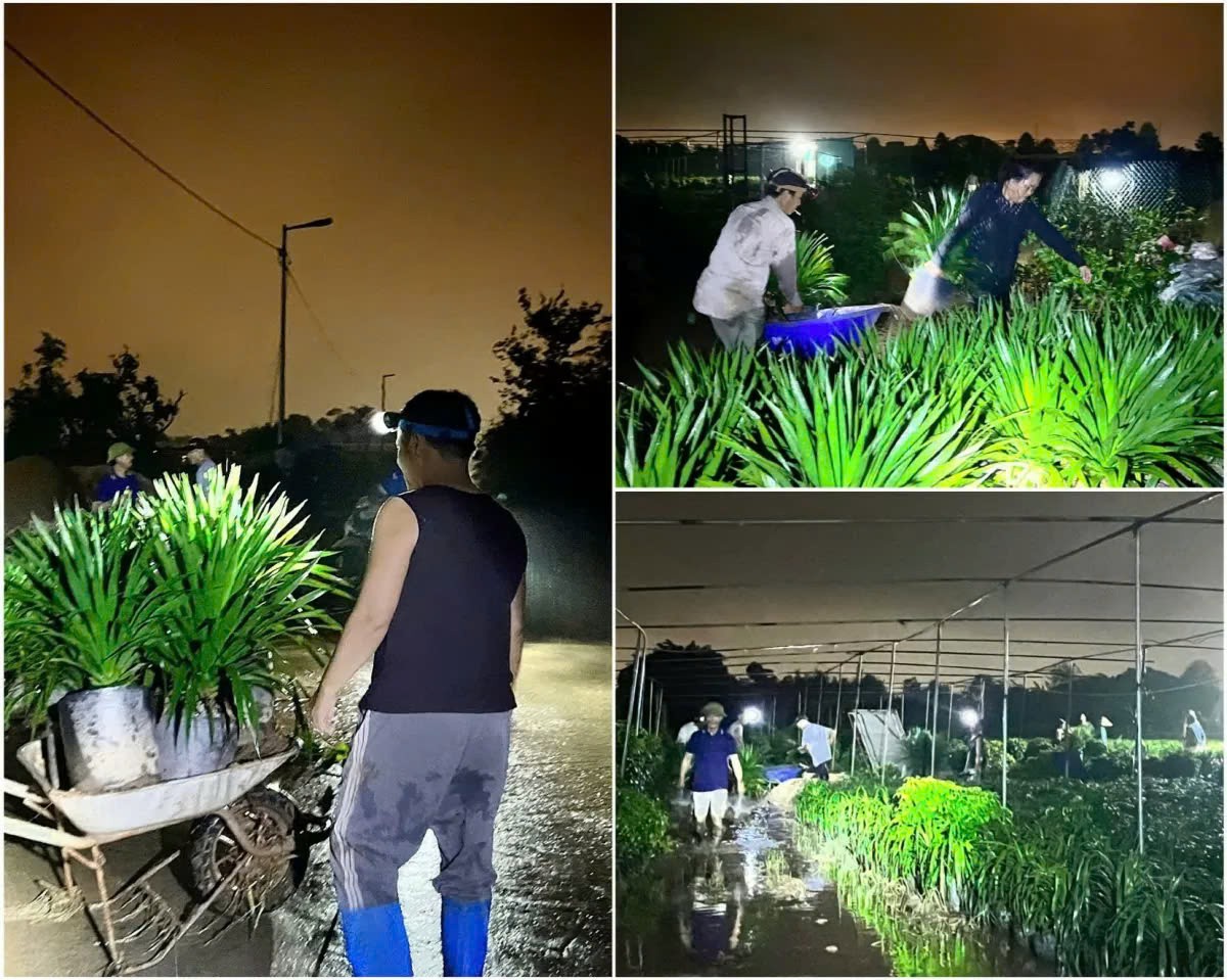 Cập nhật tình hình mưa lũ tại các tỉnh thành hôm nay Cập nhật tình hình mưa lũ tại các tỉnh thành hôm nay