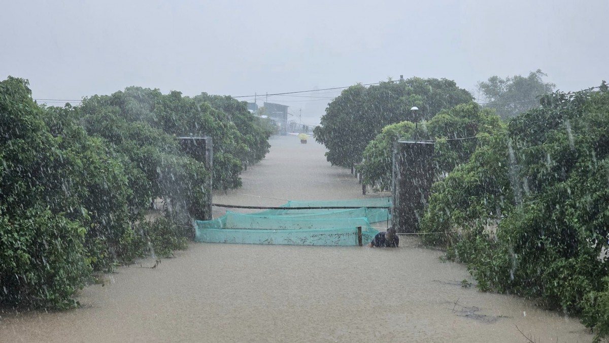 Cập nhật tình hình mưa lũ tại các tỉnh thành hôm nay Cập nhật tình hình mưa lũ tại các tỉnh thành hôm nay