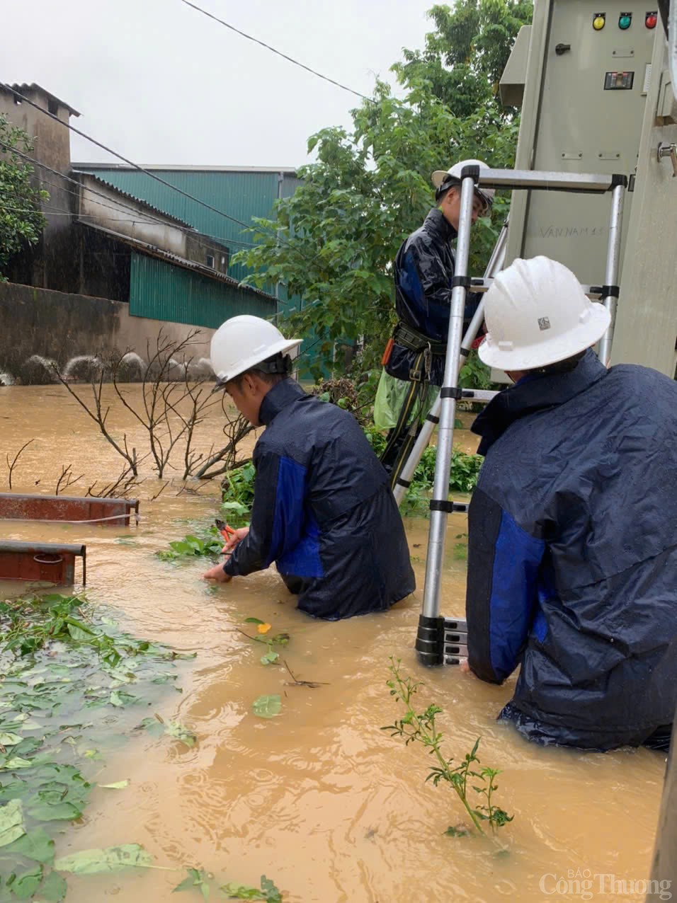 Công ty Điện lực Phúc Thọ hoàn thành xử lý sự cố lưới điện sau bão Công ty Điện lực Phúc Thọ hoàn thành xử lý sự cố lưới điện sau bão