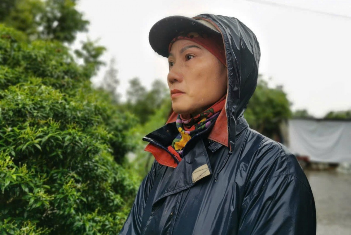 Chạy lũ ở Hà Nội: ‘Nước lên quá nhanh, tôi kẹt giữa sông Hồng khóc cùng đàn lợn’ Chạy lũ ở Hà Nội: ‘Nước lên quá nhanh, tôi kẹt giữa sông Hồng khóc cùng đàn lợn’