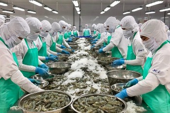 Xuất khẩu thủy sản tiếp đà phục hồi mạnh mẽ trong 8 tháng năm 2024