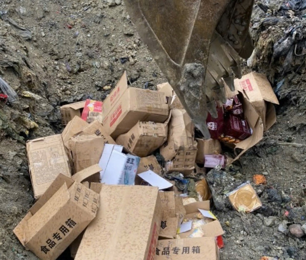 bánh trung thu bánh trung thu