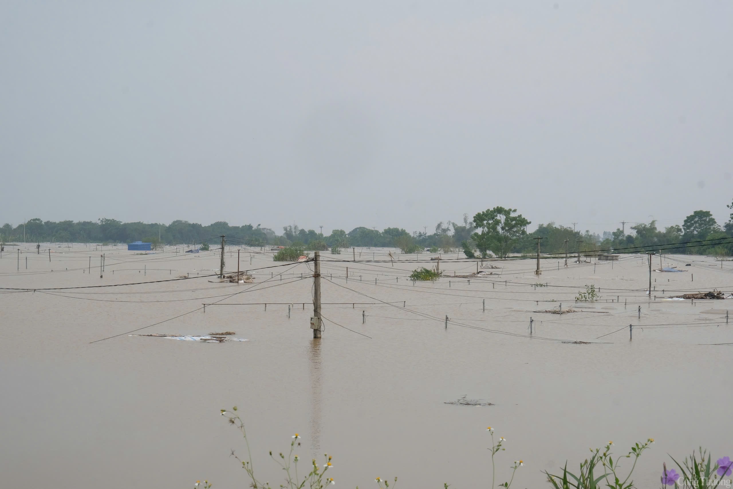 Phó Thủ tướng Trần Hồng Hà kiểm tra công tác phòng chống lũ lụt tại Nam Định